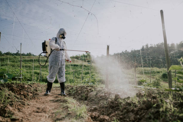 Best Mosquito Control Services  in Brighton, AL