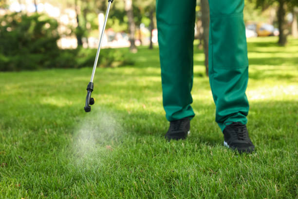 Best Bed Bug Extermination  in Brighton, AL
