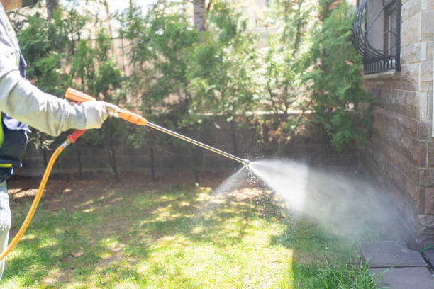 Best Wasp Removal Services  in Brighton, AL